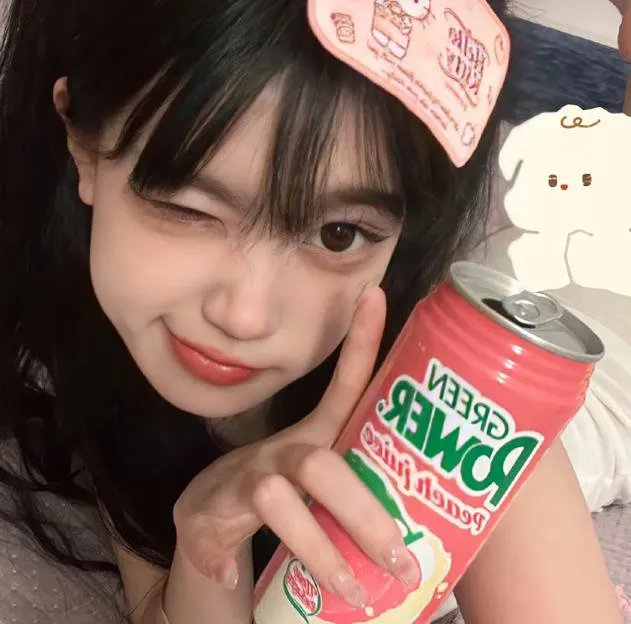 胡同猫