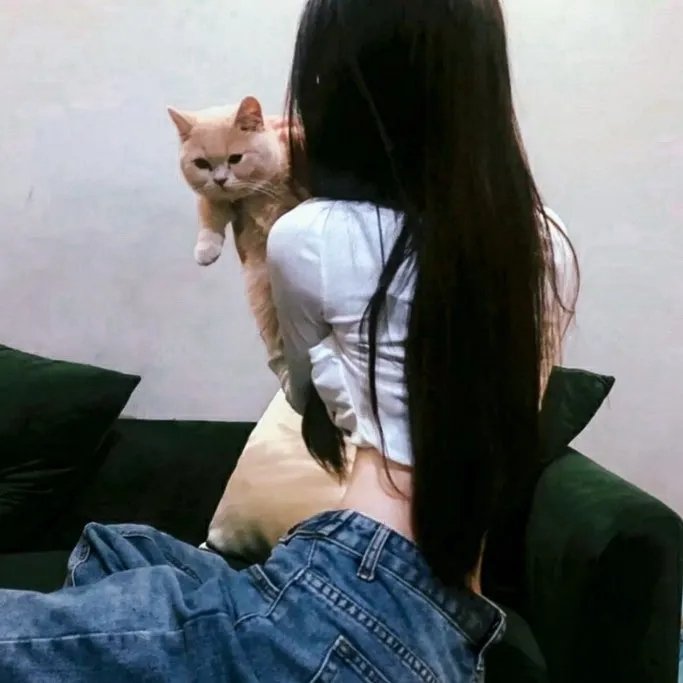 拳皇